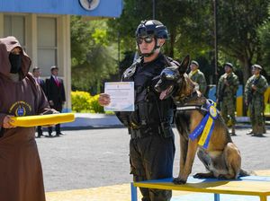 Potret Militer Ekuador Gelar Upacara Penghargaan untuk Anjing Tentara