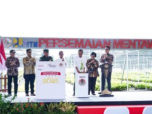 Resmikan Persemaian Mentawir, Jokowi: Komitmen Hadapi Perubahan Iklim Resmikan Persemaian Mentawir, Jokowi: Komitmen Hadapi Perubahan Iklim