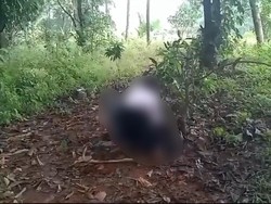 Rekrutmen Geng Via Bully Berujung 2 Siswi SMP Depok Diamankan Polisi