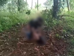 Siswi SD Di-bully Murid SMP di Depok Berawal dari Ingin Masuk Geng