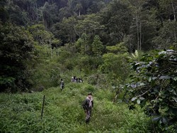 Jumlah Ranger Hutan Bakal Ditambah, Pegiat Konservasi Sudah Menunggu