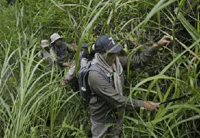 Wanita-wanita Tangguh Penjaga Hutan Aceh