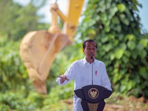 Cuma Kendaraan Listrik yang Boleh Beredar, Jokowi Yakin Kualitas Udara di IKN Bersih