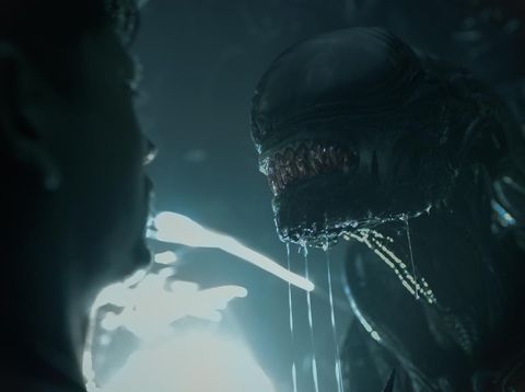 Xenomorph in 20th Century Studios' ALIEN: ROMULUS. Photo courtesy of 20th Century Studios. © 2024 20th Century Studios. All Rights Reserved.