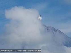 Gunung Semeru Erupsi 3 Kali Pagi Ini, Ketinggian Letusan 500 hingga 600 Meter