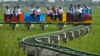 Serunya Naik Kereta Wisata di Atas Sawah