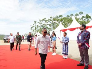 Cerita Zulhas Nginap di IKN, Seperti di Washington DC-Sudah Ada Air Bersih