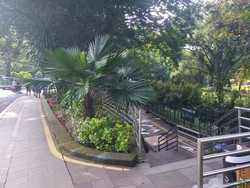 Satpol PP Bogor Cek CCTV Cari Pria Pamer Kelamin ke Wanita Joging