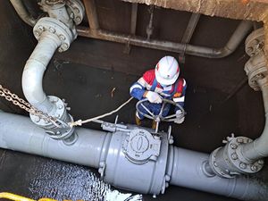 Insentif Harga Gas Industri Bisa Tarik Banyak Investor ke RI Insentif Harga Gas Industri Bisa Tarik Banyak Investor ke RI