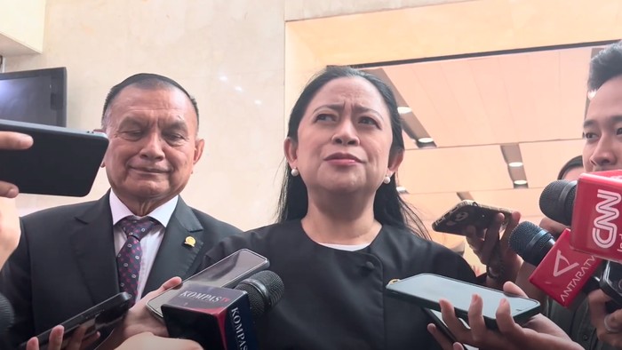 Puan Maharani, Ketua DPP PDIP