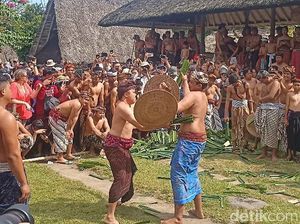 Melihat Tradisi Perang Pandan di Desa Tenganan Pegringsingan Bali Melihat Tradisi Perang Pandan di Desa Tenganan Pegringsingan Bali