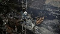 Berburu Madu Lebah Himalaya di Tebing Jurang
