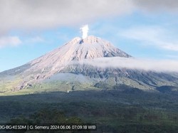 Semeru Kembali Erupsi 3 Kali Pagi Ini, Ketinggian Letusan 800 Meter