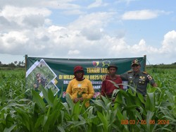 Dandim 0825 Banyuwangi Tekankan Sinergitas untuk Wujudkan Ketahanan Pangan