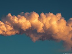 Tingkat CO2 Capai Rekor Baru, Bumi Makin Membara Tingkat CO2 Capai Rekor Baru, Bumi Makin Membara