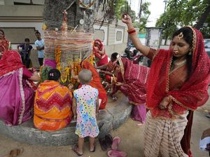 Ritual Vat Purnima, Doa Wanita India yang Sudah Menikah untuk Suaminya