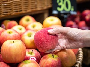 25 Makanan Rendah Kalori yang Cocok untuk Menurunkan Berat Badan