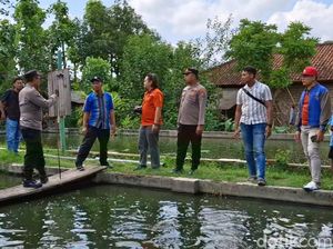 Tragis 3 Balita di Tulungagung Tercebur Kolam Ikan Patin, 2 Tewas Tenggelam Tragis 3 Balita di Tulungagung Tercebur Kolam Ikan Patin, 2 Tewas Tenggelam