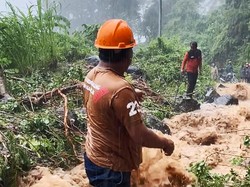 Pohon Bertumbangan dan Longsor di Klungkung karena Hujan Deras