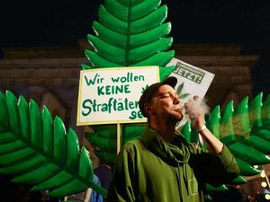 Jerman Tetapkan Batas Konsumsi Ganja untuk Pengemudi