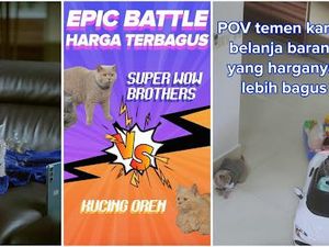 Lazada 6.6 Tampilkan Ambassador Kucing, Ada Promo Jaminan Harga Terendah