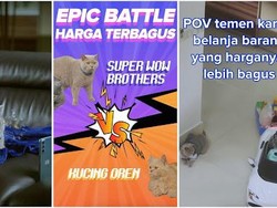 Lazada 6.6 Tampilkan Ambassador Kucing, Ada Promo Jaminan Harga Terendah