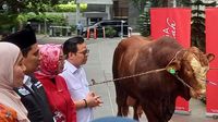 Penyaluran Hewan Kurban ke Baznas
