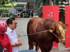 Penyaluran Hewan Kurban ke Baznas Penyaluran Hewan Kurban ke Baznas