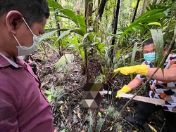 Geger Warga Temukan Kerangka Manusia di Jalur Wisata Gunung Mahawu Tomohon