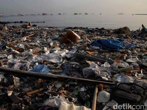 Potret Sampah Plastik Penuhi Pantai Cilincing