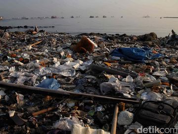 Potret Sampah Plastik Penuhi Pantai Cilincing