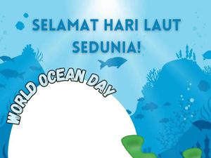 45+ Ucapan Hari Laut Sedunia 2024, Cocok Dibagikan di Medsos! 45+ Ucapan Hari Laut Sedunia 2024, Cocok Dibagikan di Medsos!