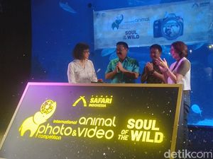 Taman Safari Indonesia Kembali Gelar International Animal Photo & Video Competition 2024, Ada Kategori Baru! Taman Safari Indonesia Kembali Gelar International Animal Photo & Video Competition 2024, Ada Kategori Baru!