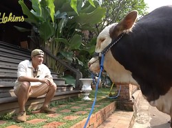 Persiapan Irfan Hakim Jelang Kurbankan 4 Sapi Jumbo