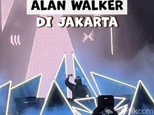 Penonton Energik, Alan Walker: Terima Kasih Banyak! Penonton Energik, Alan Walker: Terima Kasih Banyak!