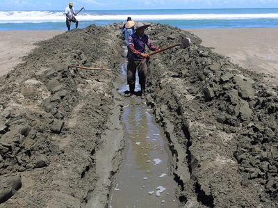 Antisipasi Banjir, Muara Sungai di Aceh Dikeruk