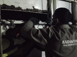 Balai Karantina Sumsel Periksa Ribuan Hewan Kurban Jelang Idul Adha