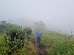 Viral Pendaki Terjebak Cuaca Ekstrem di Merbabu, Begini Kata BTNGMb