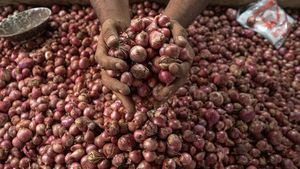 Jelang Idul Adha, Harga Bawang Merah Turun di Aceh