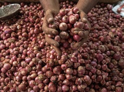 Jelang Idul Adha, Harga Bawang Merah Turun di Aceh