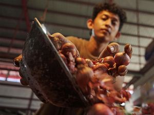 Terbang Tinggi, Harga Bawang Merah di Pasar Tembus Rp 100 Ribu/Kg