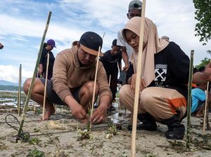 Penanaman Mangrove untuk Antisipasi Abrasi di Pulau Pangalasiang