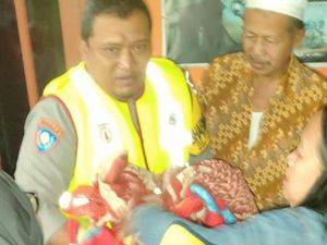 Bayi Perempuan Hidup Ditemukan Dalam Ember Bekas Cat Tembok di Jember Bayi Perempuan Hidup Ditemukan Dalam Ember Bekas Cat Tembok di Jember