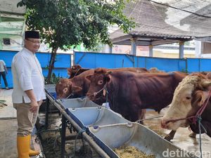 Penjualan Hewan Kurban di RPH Surabaya Naik 20% Jelang Idul Adha