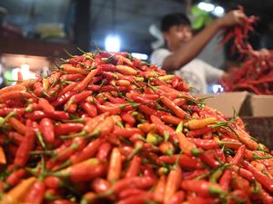 Harga Sembako Jogja Hari Ini 15 Juli 2024: Cabai Rawit Merah Masih Meroket! Harga Sembako Jogja Hari Ini 15 Juli 2024: Cabai Rawit Merah Masih Meroket!