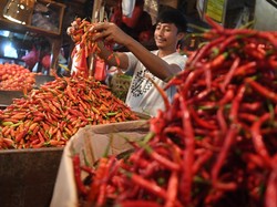 Harga Cabai Merah di Sumut Turun Hari Ini, Bawang Merah Diprediksi Menyusul
