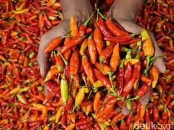 Harga Sembako Jogja Hari Ini 18 Oktober 2024: Cabai Rawit Merah Turun