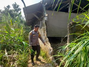 3 Sapi Milik Warga Bogor Dicuri, Pelaku Rusak Tembok Kandang