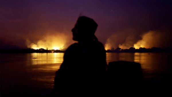 Kebakaran Landa Lahan Basah Tropis Terbesar di Dunia