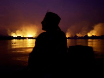 Kebakaran Landa Lahan Basah Tropis Terbesar di Dunia
